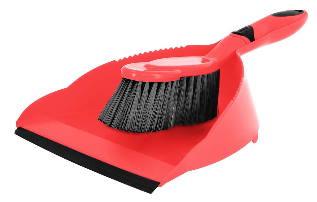 Pro dustpan with brush